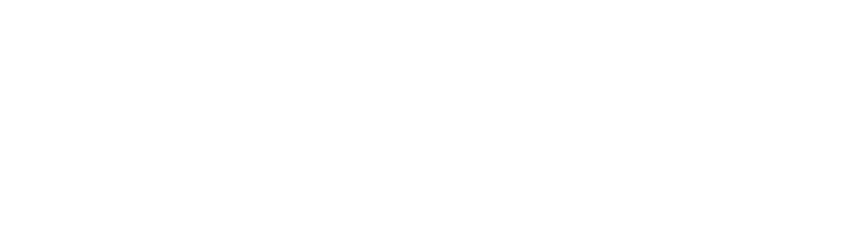 logo-newhorizons
